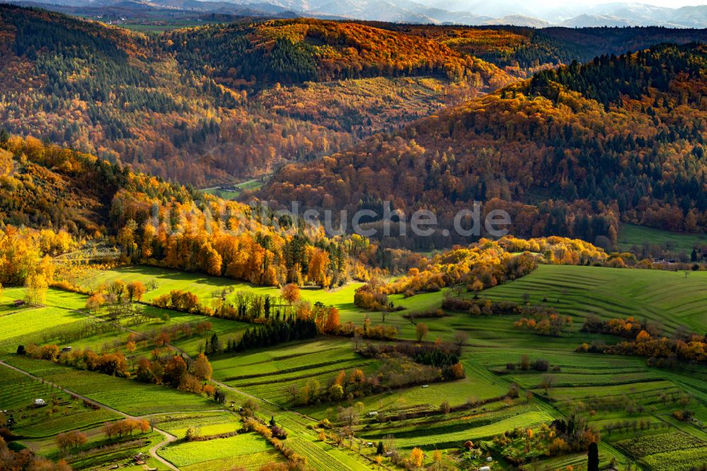 Luftaufnahme Herbolzheim - Herbstluftbild Weinbergs- Landschaft der Winzer- Gebiete in Herbolzheim im Bundesland Baden-Württemberg, Deutschland