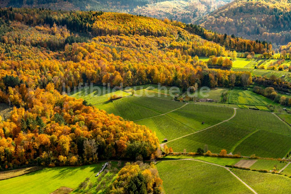 Luftbild Herbolzheim - Herbstluftbild Weinbergs- Landschaft der Winzer- Gebiete in Herbolzheim im Bundesland Baden-Württemberg, Deutschland