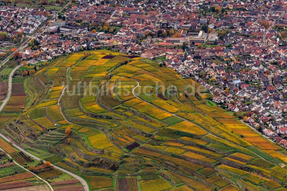 Luftaufnahme Ihringen - Herbstluftbild Weinbergs- Landschaft der Winzer- Gebiete in Ihringen im Bundesland Baden-Württemberg, Deutschland