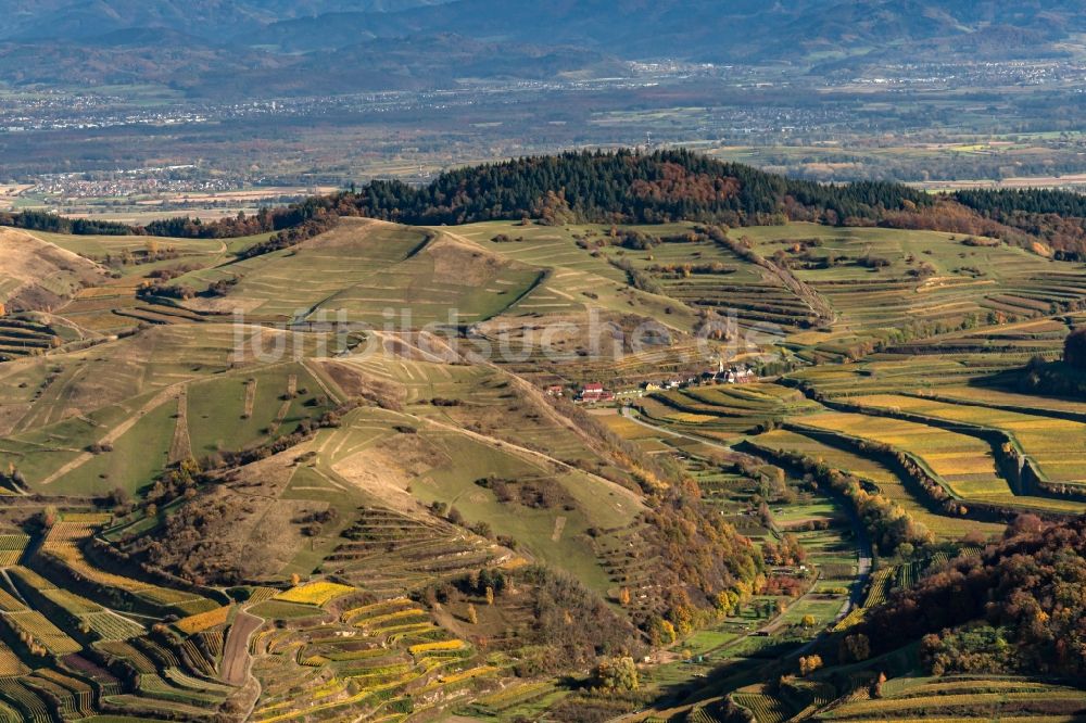 Luftbild Vogtsburg im Kaiserstuhl - Herbstluftbild Weinbergs- Landschaft der Winzer- Gebiete am Kaiserstuhl im Bundesland Baden-Württemberg, Deutschland
