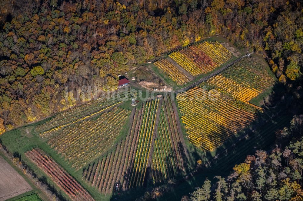 Luftbild Kirchschönbach - Herbstluftbild Weinbergs- Landschaft der Winzer- Gebiete in Kirchschönbach im Bundesland Bayern, Deutschland