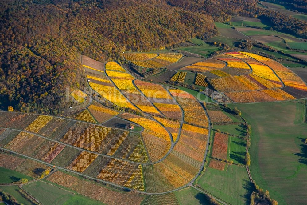 Oberschwarzach von oben - Herbstluftbild Weinbergs- Landschaft der Winzer- Gebiete in Oberschwarzach im Bundesland Bayern, Deutschland