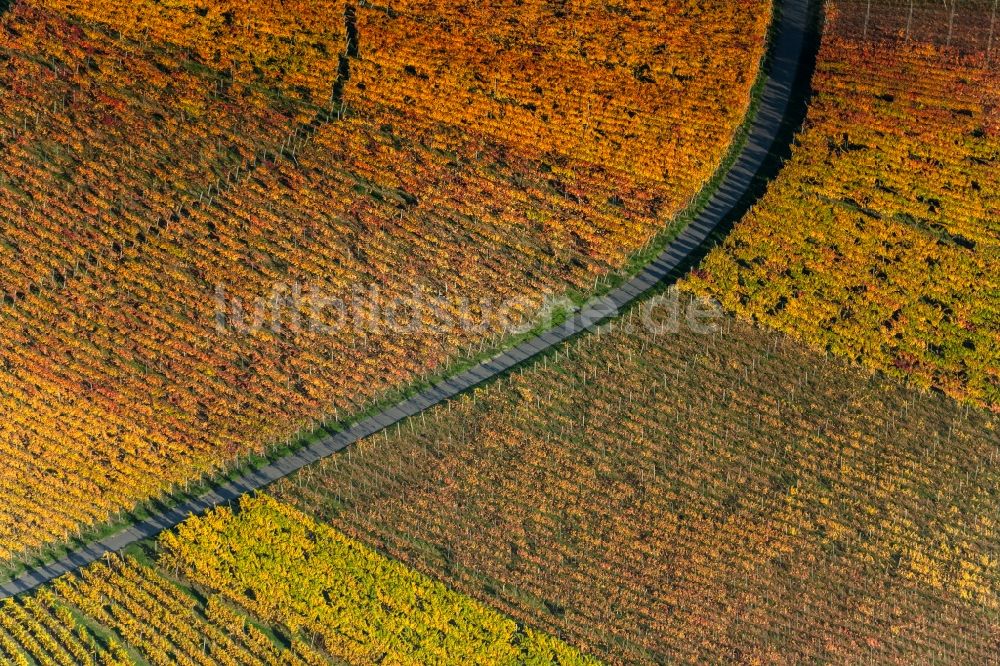 Oberschwarzach aus der Vogelperspektive: Herbstluftbild Weinbergs- Landschaft der Winzer- Gebiete in Oberschwarzach im Bundesland Bayern, Deutschland