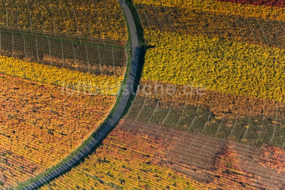 Luftbild Oberschwarzach - Herbstluftbild Weinbergs- Landschaft der Winzer- Gebiete in Oberschwarzach im Bundesland Bayern, Deutschland