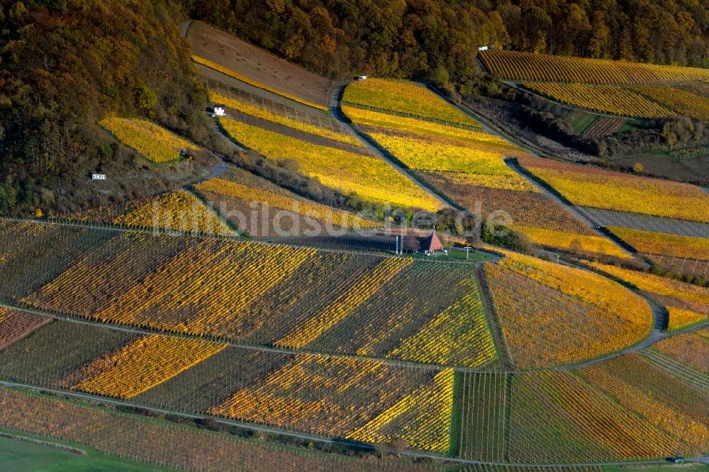 Luftbild Oberschwarzach - Herbstluftbild Weinbergs- Landschaft der Winzer- Gebiete in Oberschwarzach im Bundesland Bayern, Deutschland