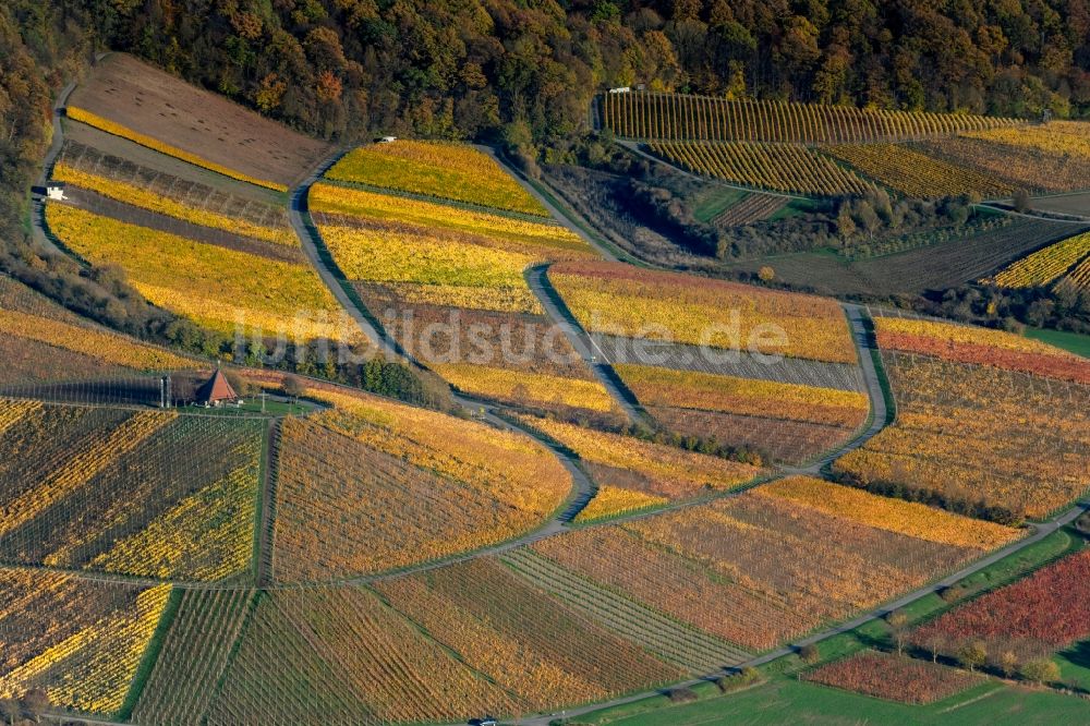 Luftaufnahme Oberschwarzach - Herbstluftbild Weinbergs- Landschaft der Winzer- Gebiete in Oberschwarzach im Bundesland Bayern, Deutschland