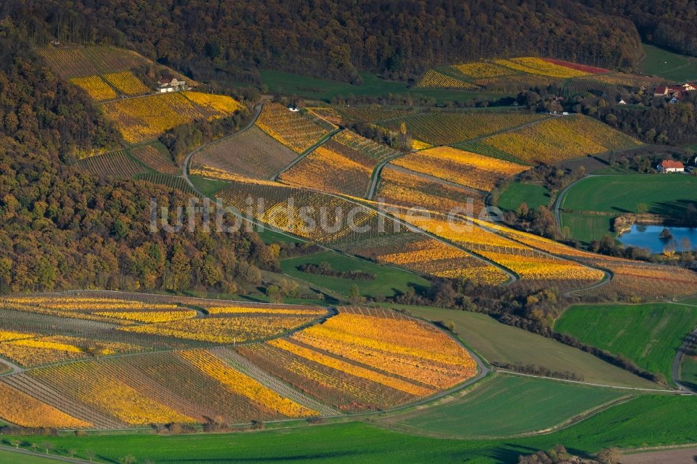 Oberschwarzach aus der Vogelperspektive: Herbstluftbild Weinbergs- Landschaft der Winzer- Gebiete in Oberschwarzach im Bundesland Bayern, Deutschland