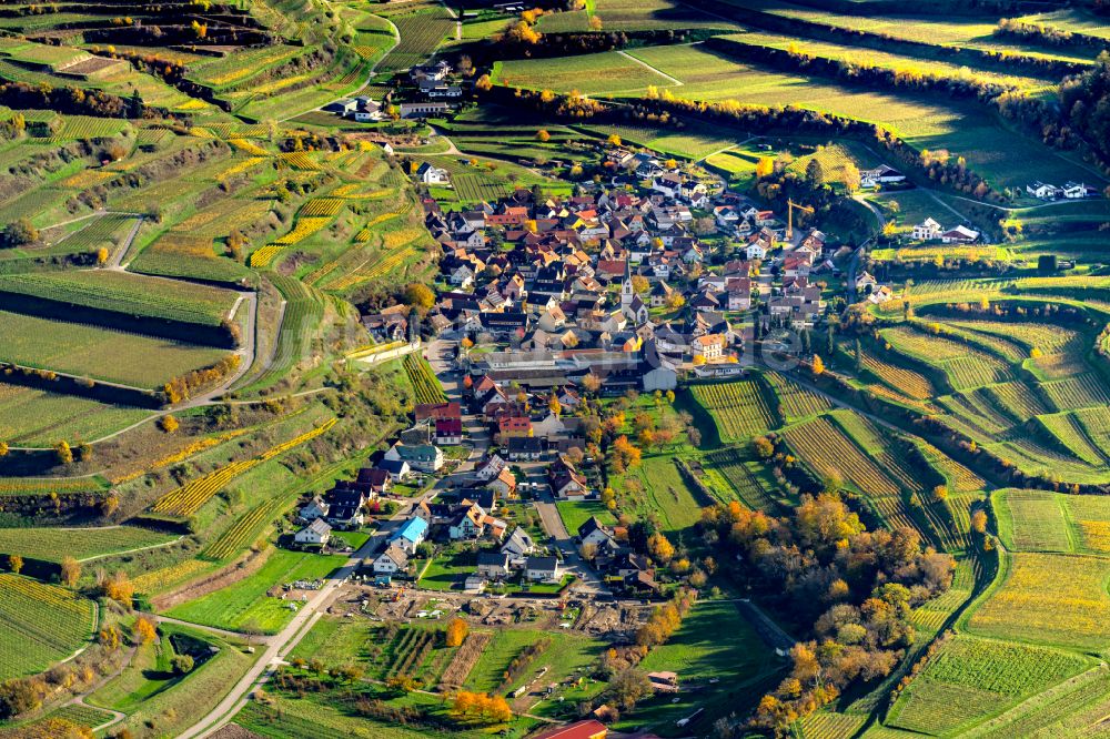 Luftbild Bickensohl - Herbstluftbild Weinbergs- Landschaft der Winzer- Gebiete Ort Bickensohl, Ortsteil von Vogtsburg, im Bundesland Baden-Württemberg, Deutschland