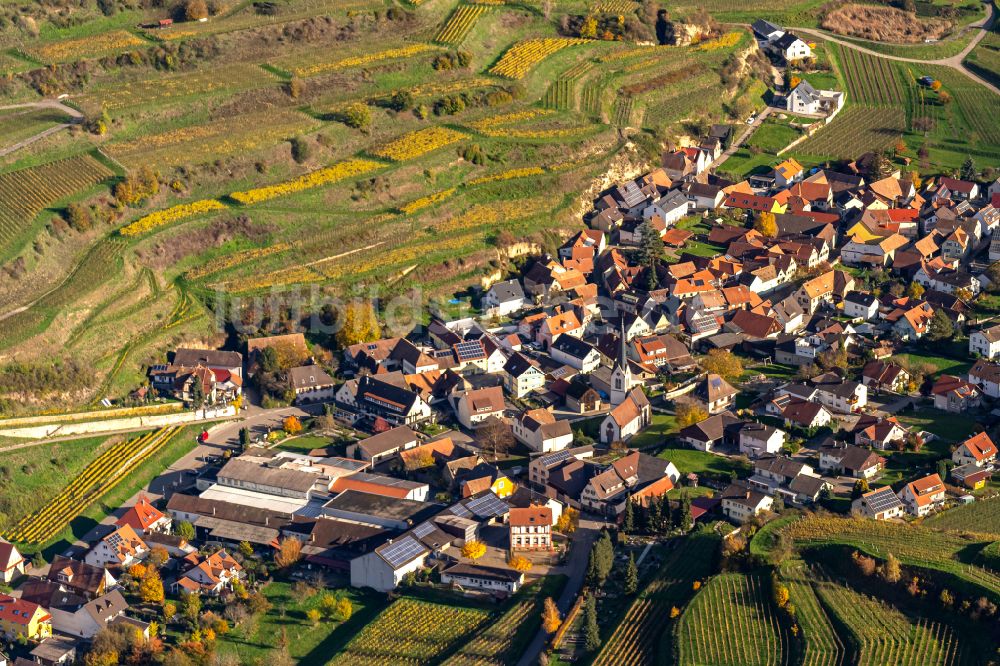 Bickensohl von oben - Herbstluftbild Weinbergs- Landschaft der Winzer- Gebiete Ort Bickensohl, Ortsteil von Vogtsburg, im Bundesland Baden-Württemberg, Deutschland