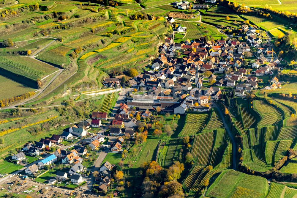 Luftaufnahme Bickensohl - Herbstluftbild Weinbergs- Landschaft der Winzer- Gebiete Ort Bickensohl, Ortsteil von Vogtsburg, im Bundesland Baden-Württemberg, Deutschland
