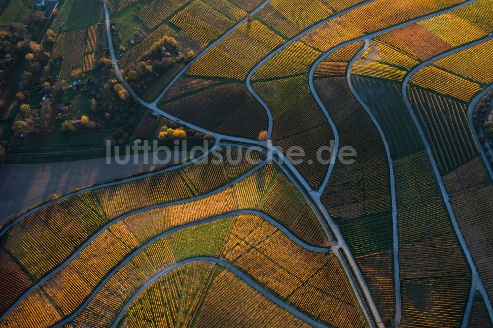Thüngersheim von oben - Herbstluftbild Weinbergs- Landschaft der Winzer- Gebiete in Thüngersheim im Bundesland Bayern, Deutschland
