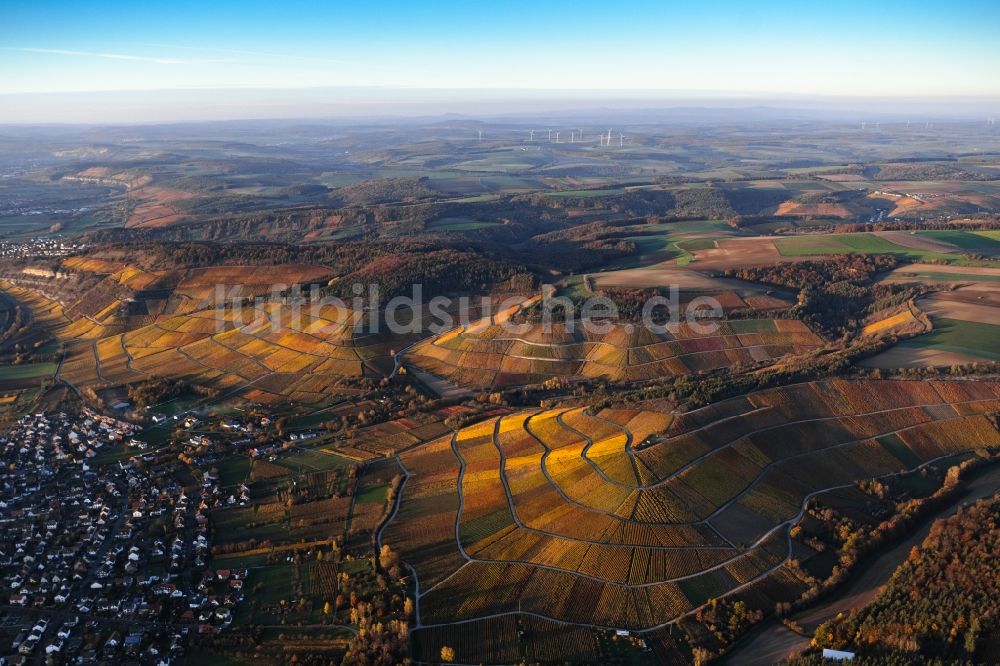 Thüngersheim aus der Vogelperspektive: Herbstluftbild Weinbergs- Landschaft der Winzer- Gebiete in Thüngersheim im Bundesland Bayern, Deutschland