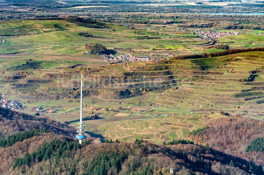 Luftaufnahme Ihringen - Herbstluftbild Weinbergs- Landschaft der Winzer- Gebiete in Vogtsburg im Bundesland Baden-Württemberg, Deutschland
