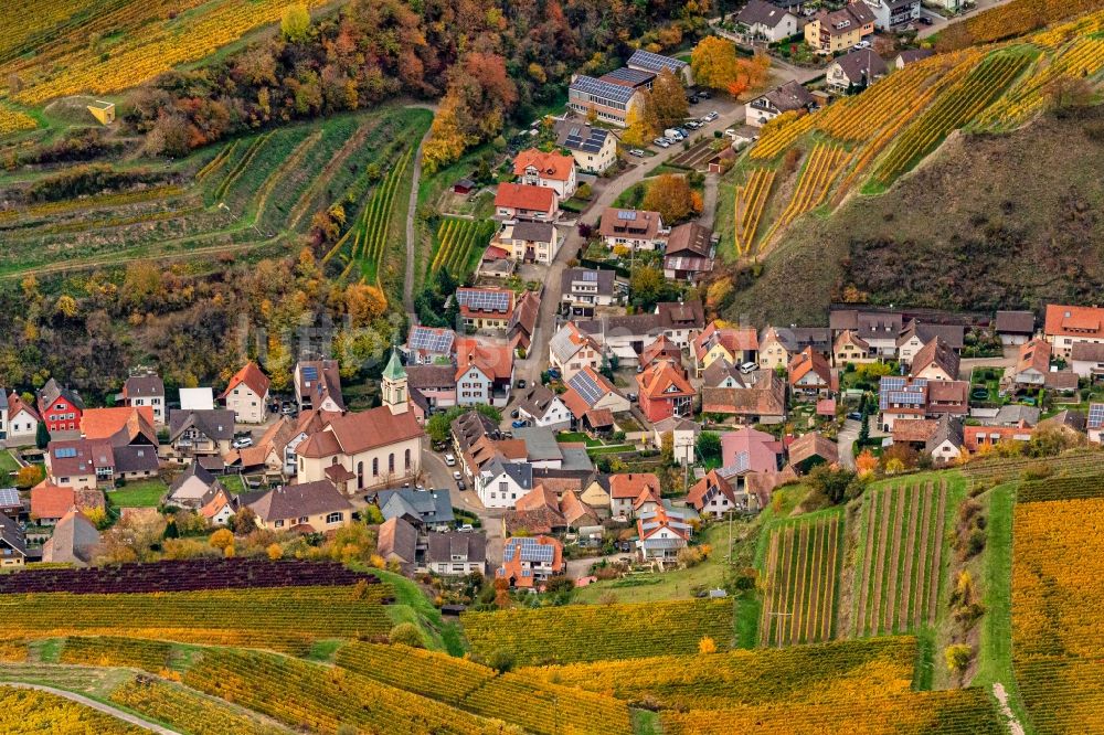Luftbild Vogtsburg im Kaiserstuhl - Herbstluftbild Weinbergs- Landschaft der Winzer- Gebiete in Vogtsburg im Kaiserstuhl im Bundesland Baden-Württemberg, Deutschland