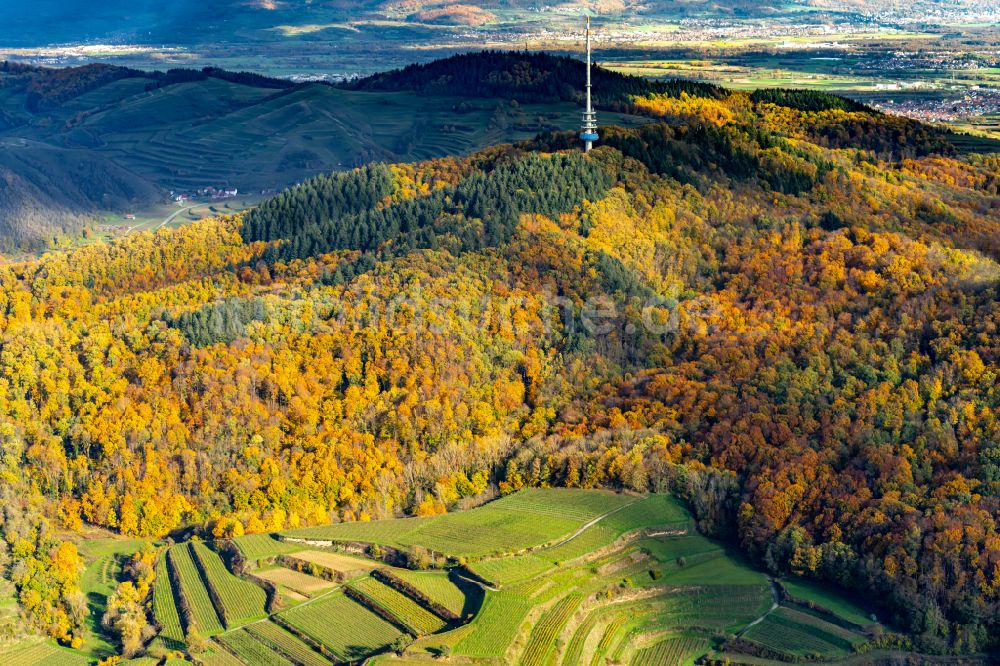 Luftbild Vogtsburg im Kaiserstuhl - Herbstluftbild Weinbergs- Landschaft der Winzer- Gebiete in Vogtsburg im Kaiserstuhl im Bundesland Baden-Württemberg, Deutschland