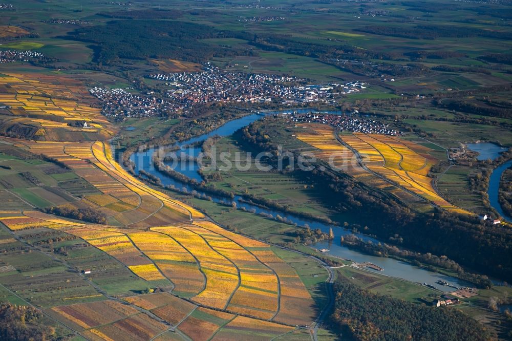 Luftbild Volkach - Herbstluftbild Weinbergs- Landschaft der Winzer- Gebiete in Volkach im Bundesland Bayern, Deutschland