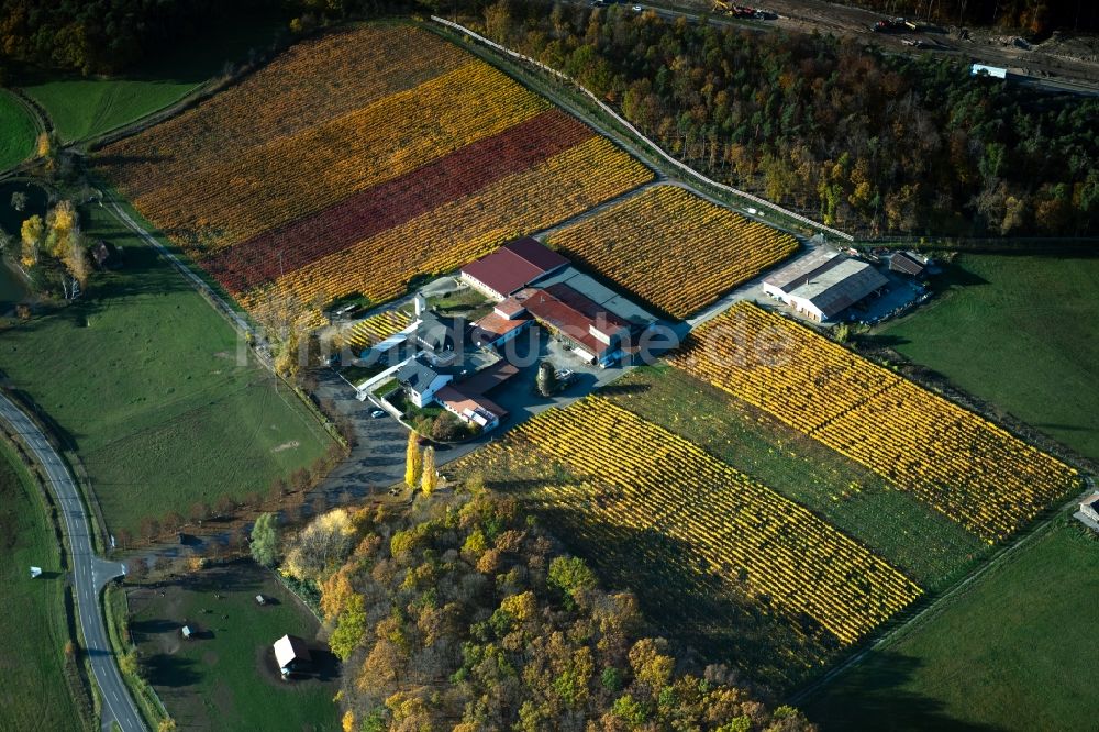 Abtswind von oben - Herbstluftbild Weinbergs- Landschaft der Winzer- Gebiete Weingut Behringer in Abtswind im Bundesland Bayern, Deutschland