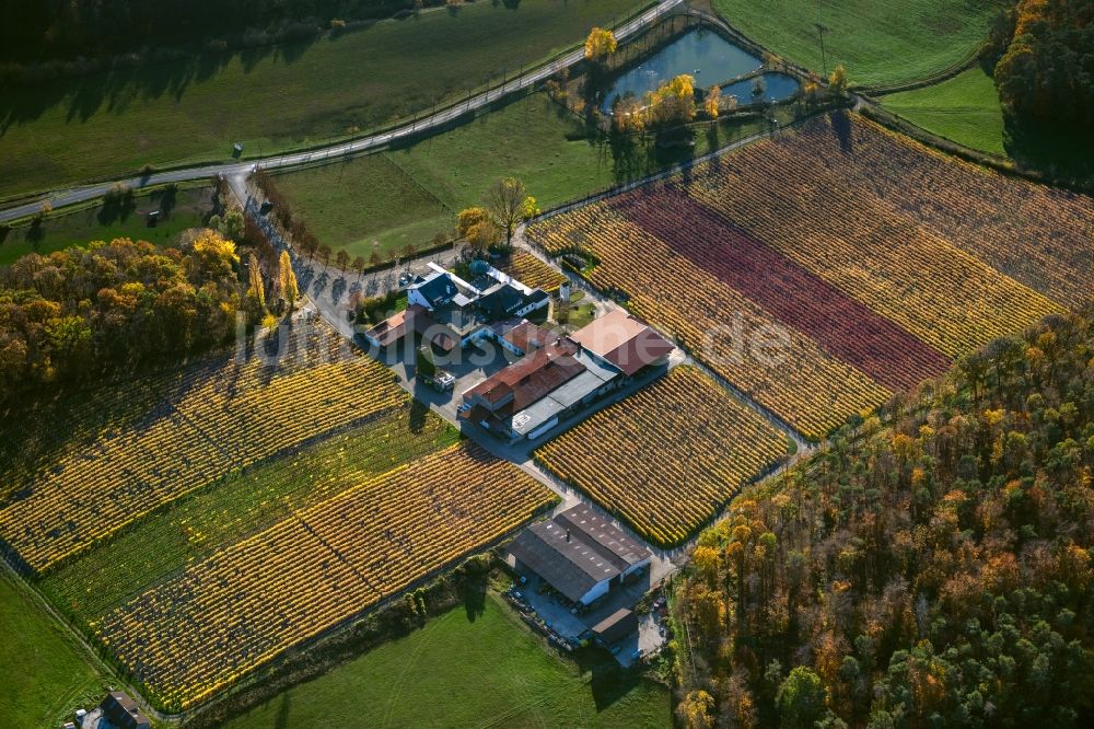 Abtswind aus der Vogelperspektive: Herbstluftbild Weinbergs- Landschaft der Winzer- Gebiete Weingut Behringer in Abtswind im Bundesland Bayern, Deutschland