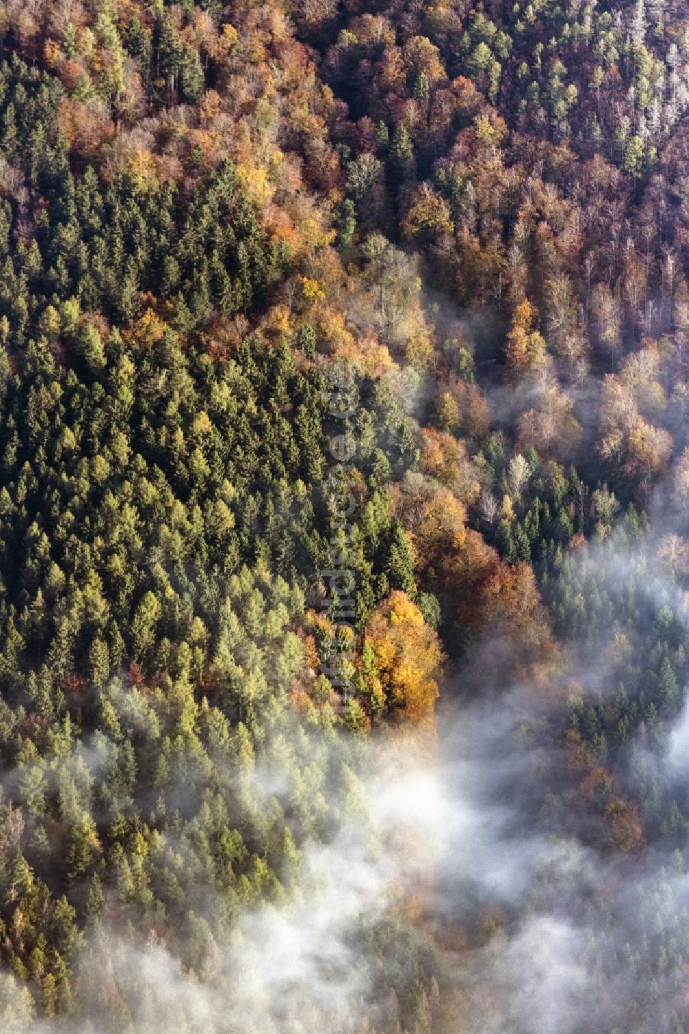 Haina (Kloster) aus der Vogelperspektive: Herbstluftbild Wetterlage mit Wolkenbildung in Bad Wildungen im Bundesland Hessen, Deutschland