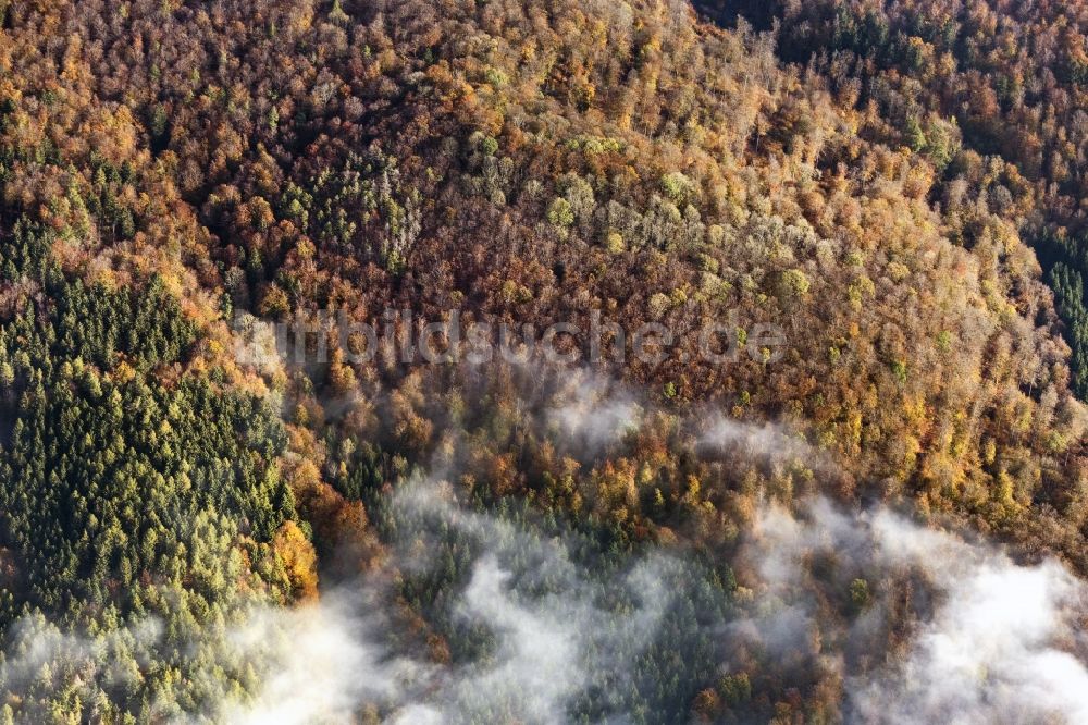 Luftbild Haina (Kloster) - Herbstluftbild Wetterlage mit Wolkenbildung in Bad Wildungen im Bundesland Hessen, Deutschland
