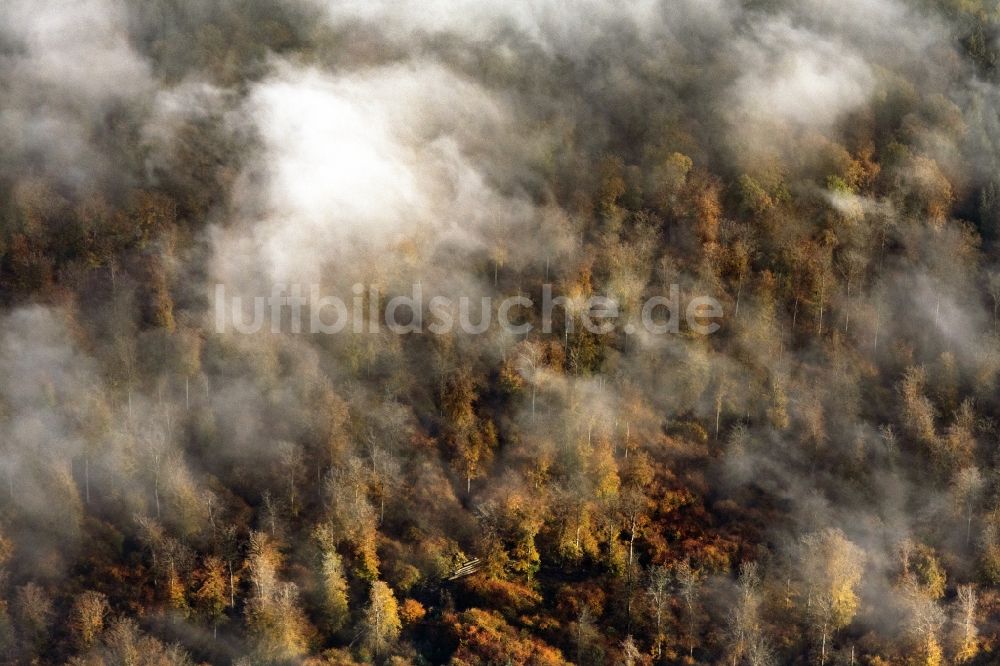 Luftaufnahme Haina (Kloster) - Herbstluftbild Wetterlage mit Wolkenbildung in Bad Wildungen im Bundesland Hessen, Deutschland