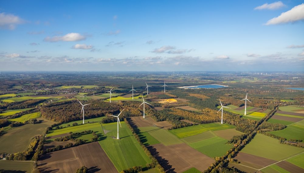 Haltern am See von oben - Herbstluftbild Windenergieanlagen (WEA) - Windrad- in einem Waldstück in Haltern am See im Bundesland Nordrhein-Westfalen, Deutschland