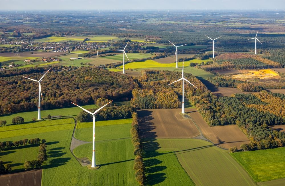 Haltern am See aus der Vogelperspektive: Herbstluftbild Windenergieanlagen (WEA) - Windrad- in einem Waldstück in Haltern am See im Bundesland Nordrhein-Westfalen, Deutschland