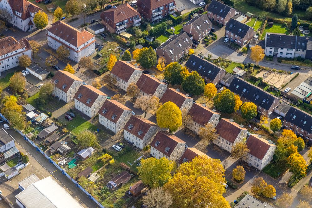 Gladbeck aus der Vogelperspektive: Herbstluftbild Wohngebiet einer Reihenhaus- Siedlung in Gladbeck im Bundesland Nordrhein-Westfalen, Deutschland
