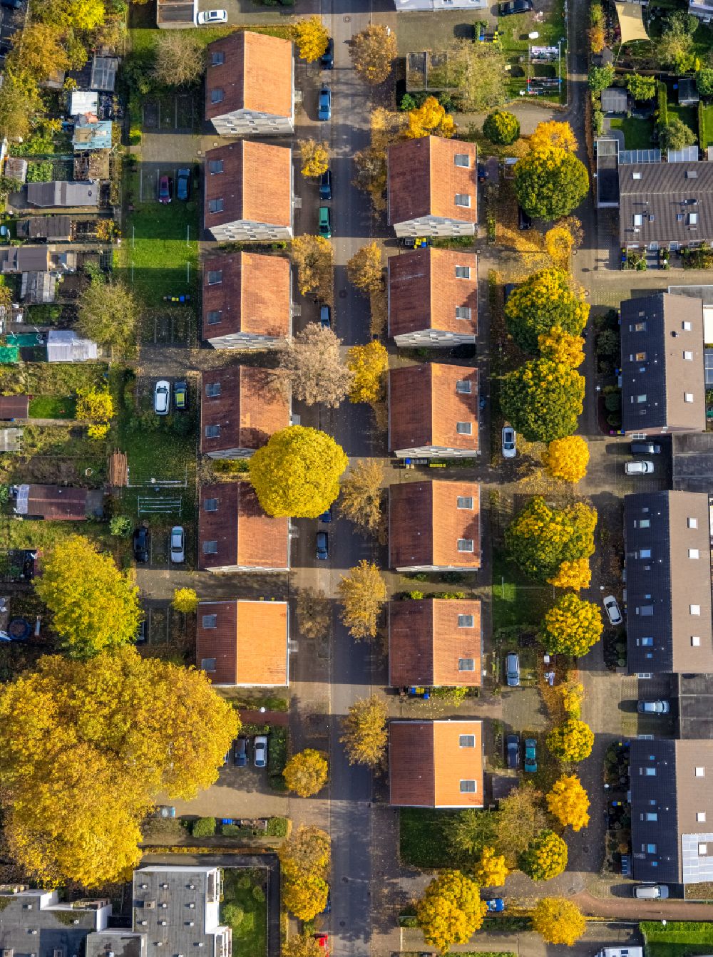 Luftaufnahme Gladbeck - Herbstluftbild Wohngebiet einer Reihenhaus- Siedlung in Gladbeck im Bundesland Nordrhein-Westfalen, Deutschland