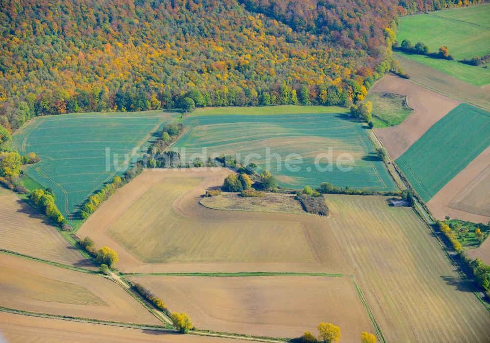 Luftbild Eschershausen - Herbststimmung an Feldern und Waldgebieten in Eschershausen in Niedersachsen