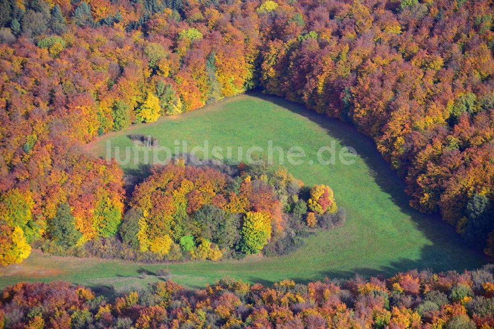 Luftaufnahme Holzen - Herbststimmung am Waldgebiet in Holzen in Niedersachsen