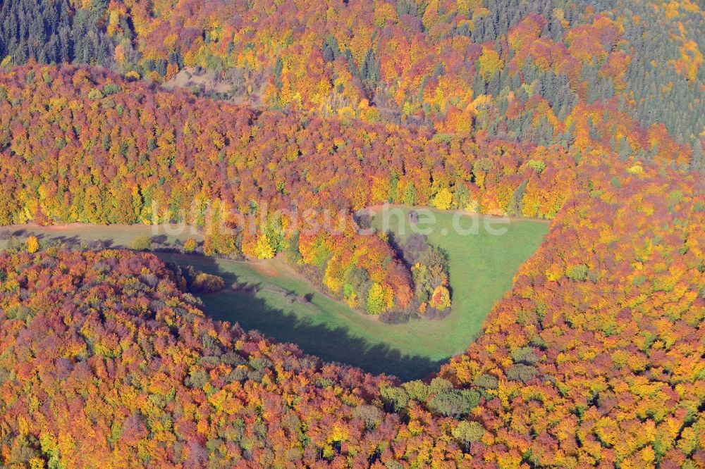 Holzen von oben - Herbststimmung am Waldgebiet in Holzen in Niedersachsen