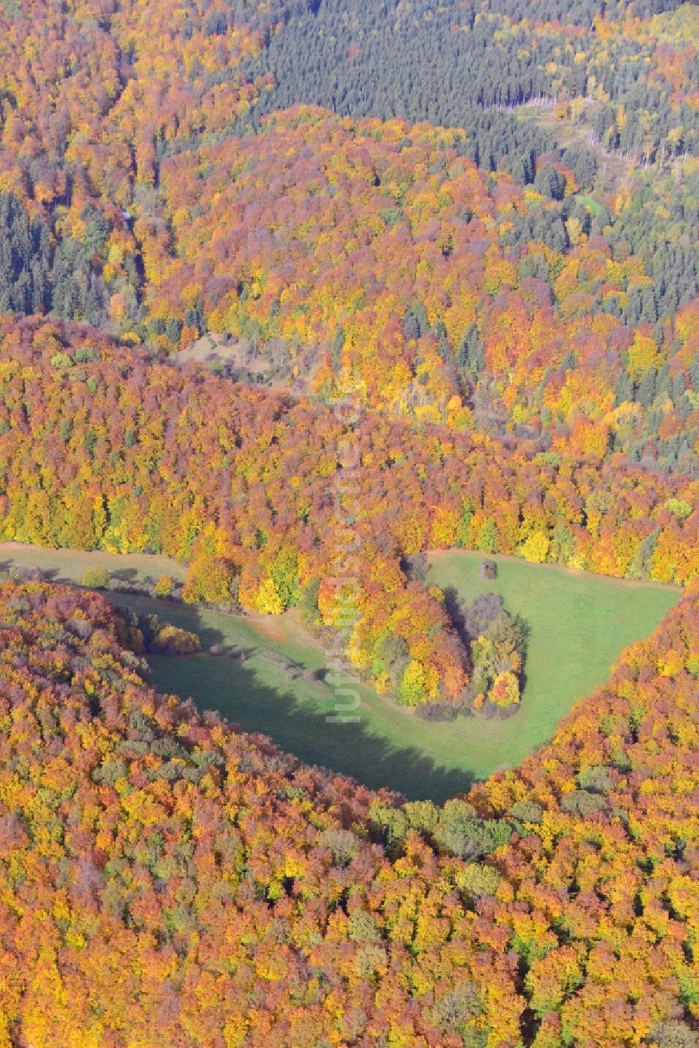 Holzen aus der Vogelperspektive: Herbststimmung am Waldgebiet in Holzen in Niedersachsen