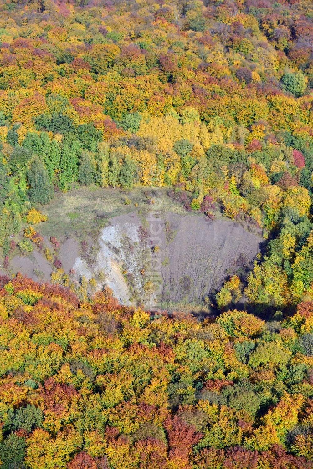 Liebenburg von oben - Herbststimmung am Waldgebiet in Liebenburg in Niedersachsen