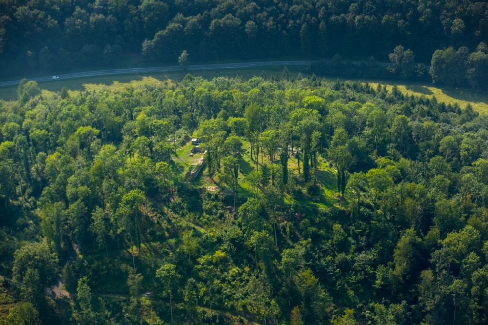Luftbild Arnsberg - Historische Mauern in einem Wald am südwestlichen Stadtrand von Arnsberg im Bundesland Nordrhein-Westfalen