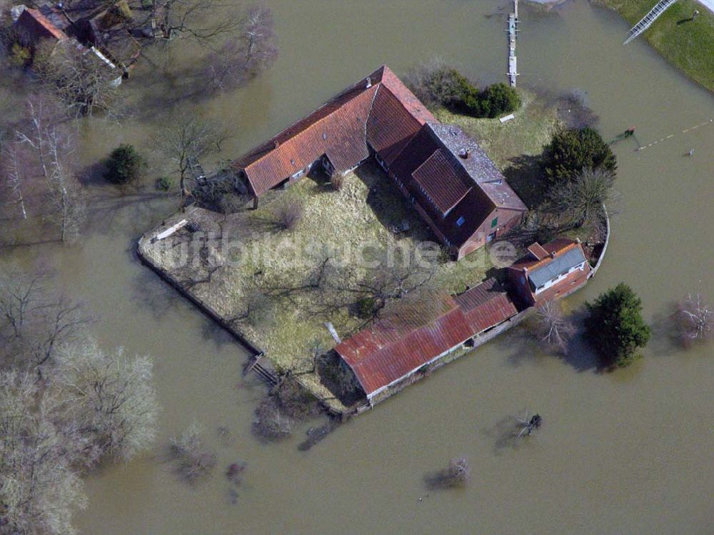 Luftbild Bleckede - Hochwasser in Bleckede / Niedersachsen