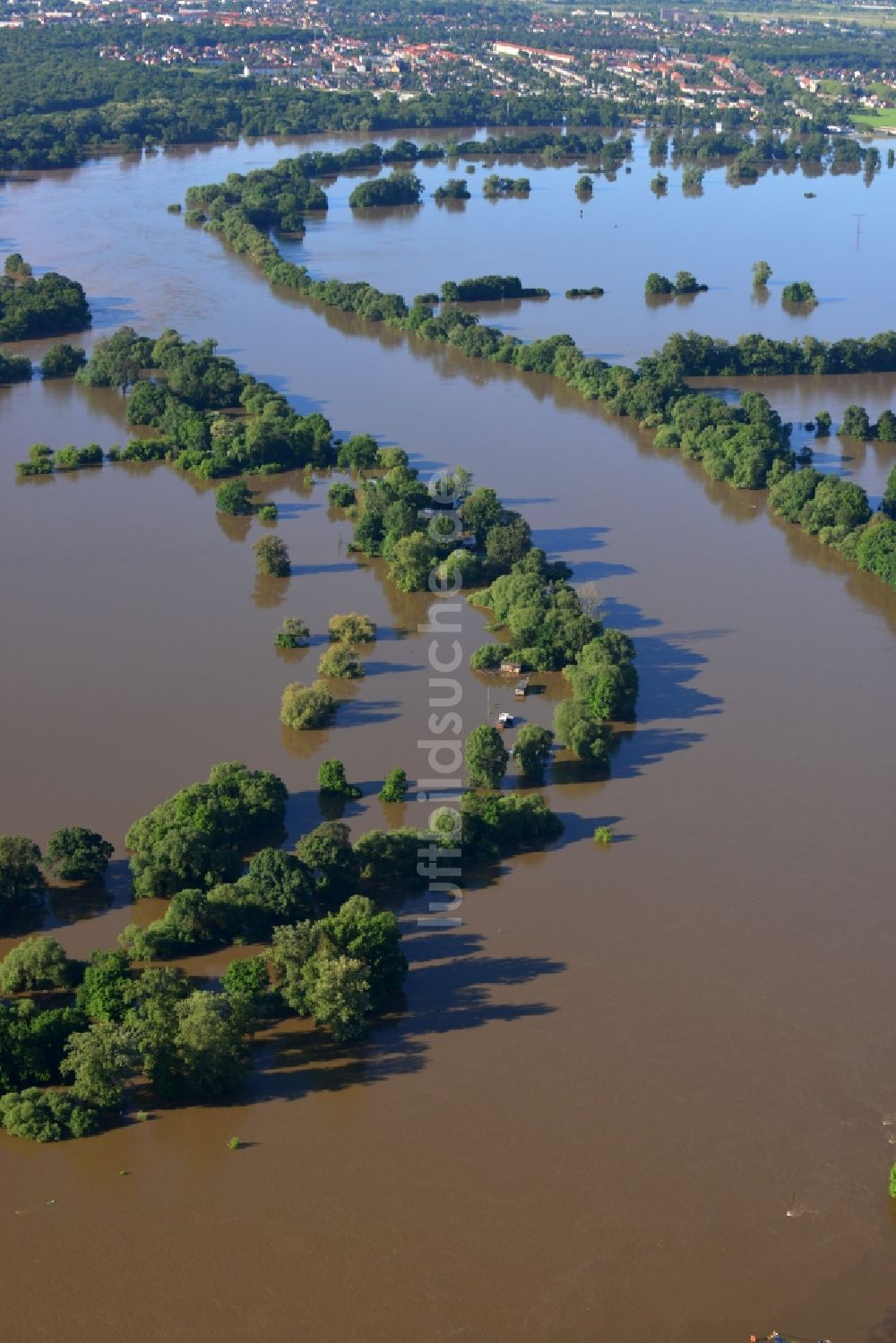 Luftbild Dessau-Roßlau - Hochwasser Pegel - Situation durch Überschwemmung und Übertritt der Ufer der Elbe bei Dessau-Roßlau im Bundesland Sachsen-Anhalt