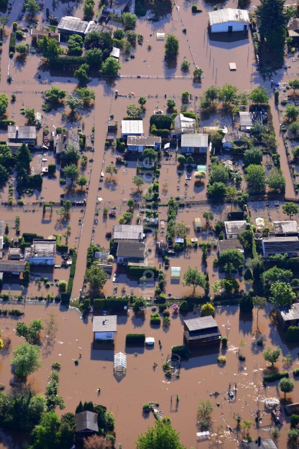 Dessau-Roßlau von oben - Hochwasser Pegel - Situation durch Überschwemmung und Übertritt der Ufer der Elbe bei Dessau-Roßlau im Bundesland Sachsen-Anhalt