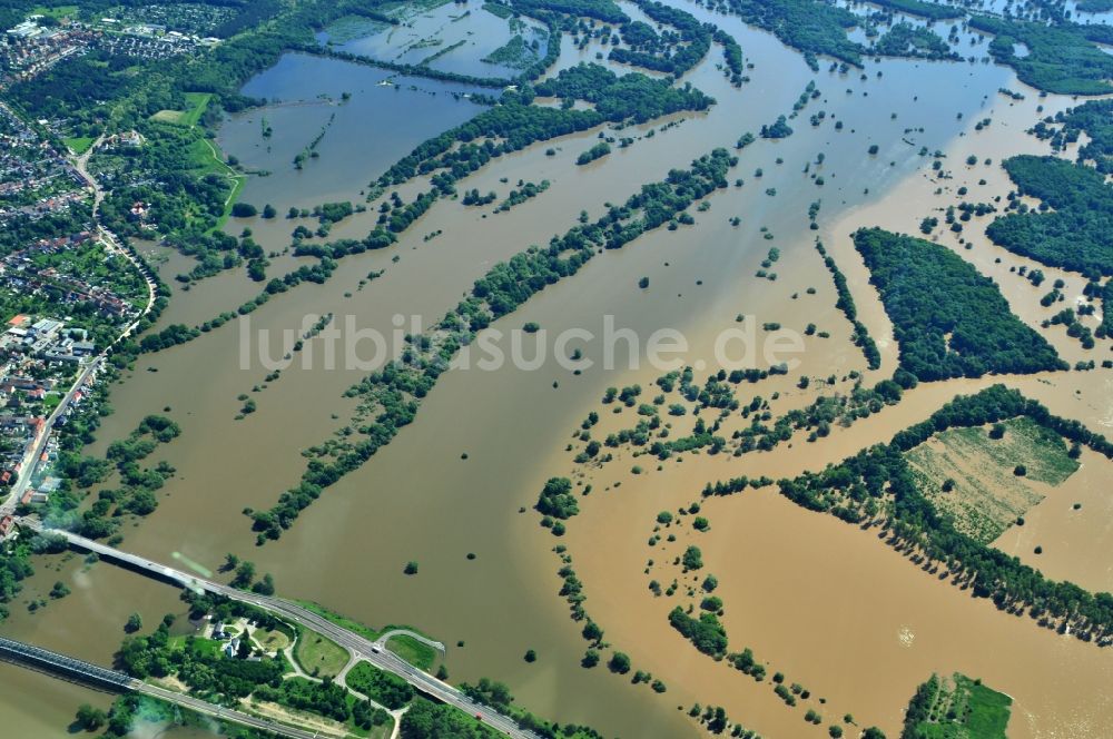 Luftbild Dessau-Roßlau - Hochwasser Pegel - Situation durch Überschwemmung und Übertritt der Ufer der Elbe an der Mündung zur Mulde bei Dessau-Roßlau im Bundesland Sachsen-Anhalt