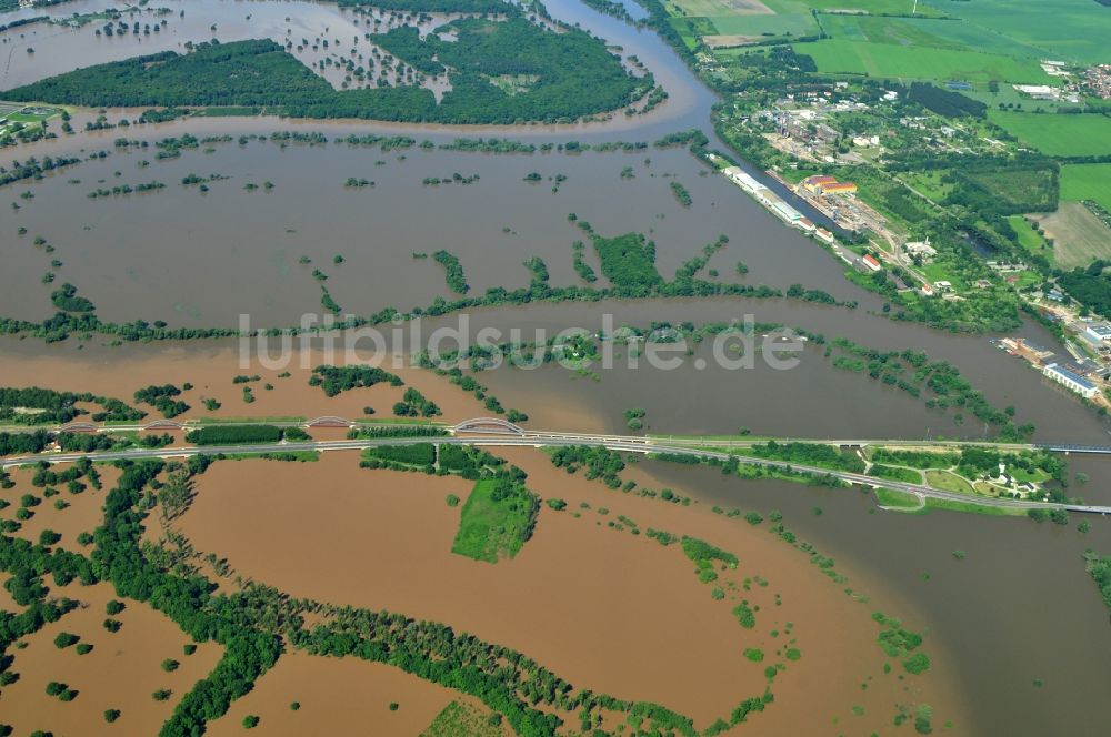 Luftaufnahme Dessau-Roßlau - Hochwasser Pegel - Situation durch Überschwemmung und Übertritt der Ufer der Elbe an der Mündung zur Mulde bei Dessau-Roßlau im Bundesland Sachsen-Anhalt
