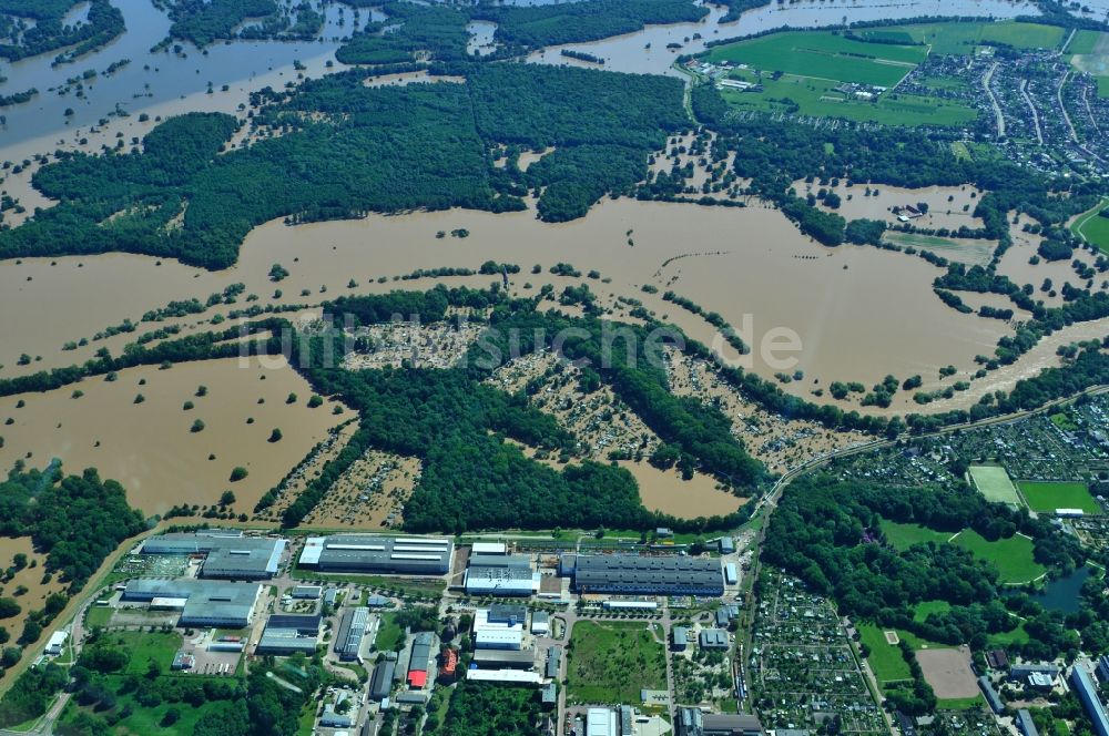 Dessau-Roßlau aus der Vogelperspektive: Hochwasser Pegel - Situation durch Überschwemmung und Übertritt der Ufer der Mulde an der Mündung zur Elbe bei Dessau-Roßlau im Bundesland Sachsen-Anhalt