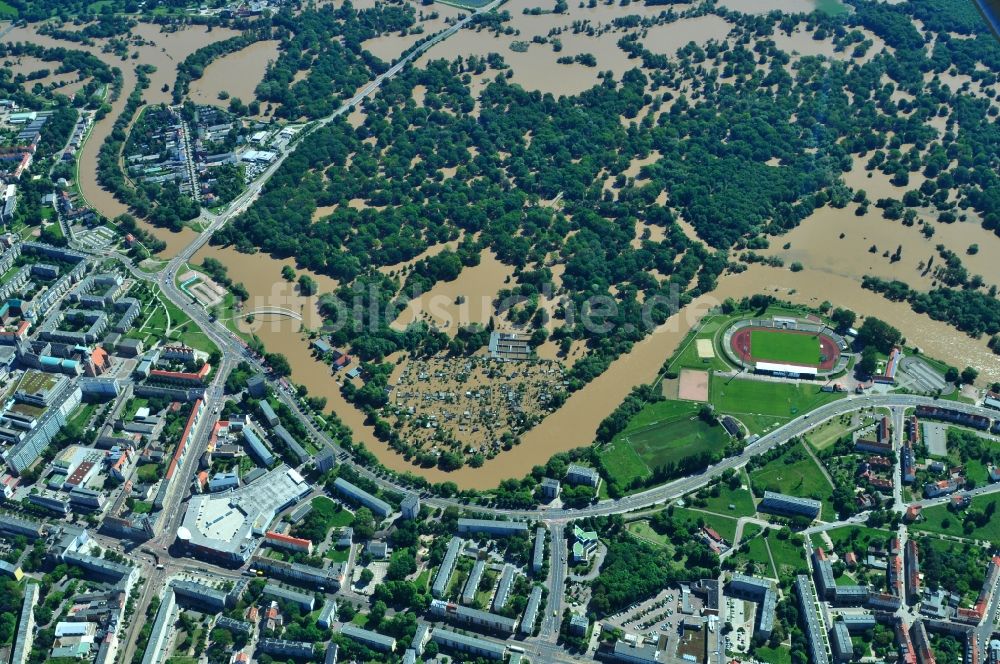 Dessau-Roßlau aus der Vogelperspektive: Hochwasser Pegel - Situation durch Überschwemmung und Übertritt der Ufer der Mulde an der Mündung zur Elbe bei Dessau-Roßlau im Bundesland Sachsen-Anhalt