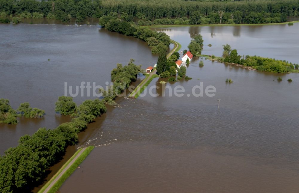 Breitenhagen von oben - Hochwasser Pegel - Situation durch Dammbruch an den Überflutungsgebieten der Elbe bei Breitenhagen im Bundesland Sachsen-Anhalt