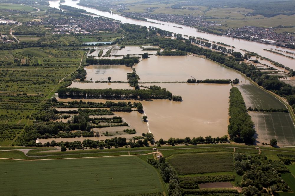 Luftaufnahme Ingelheim - Hochwasser - Situation nach Öffnung der Hochwasserpolder in Ingelheim im Bundesland Rheinland-Pfalz