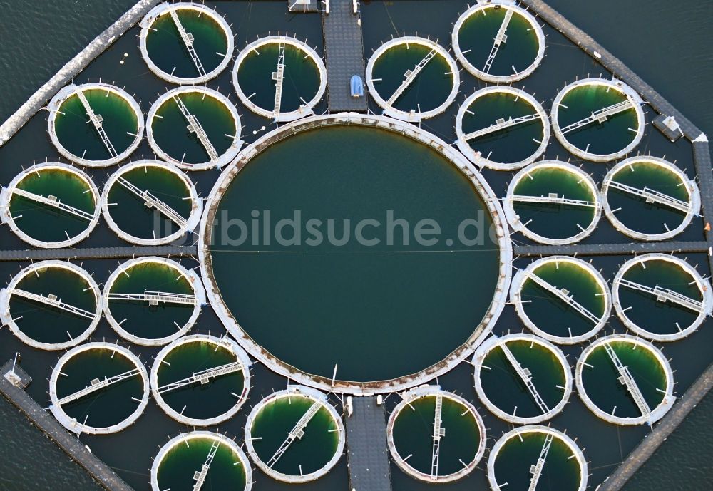 Luftaufnahme Stechlin - IGB-Seelabor im Stechlinsee Bundesland Brandenburg