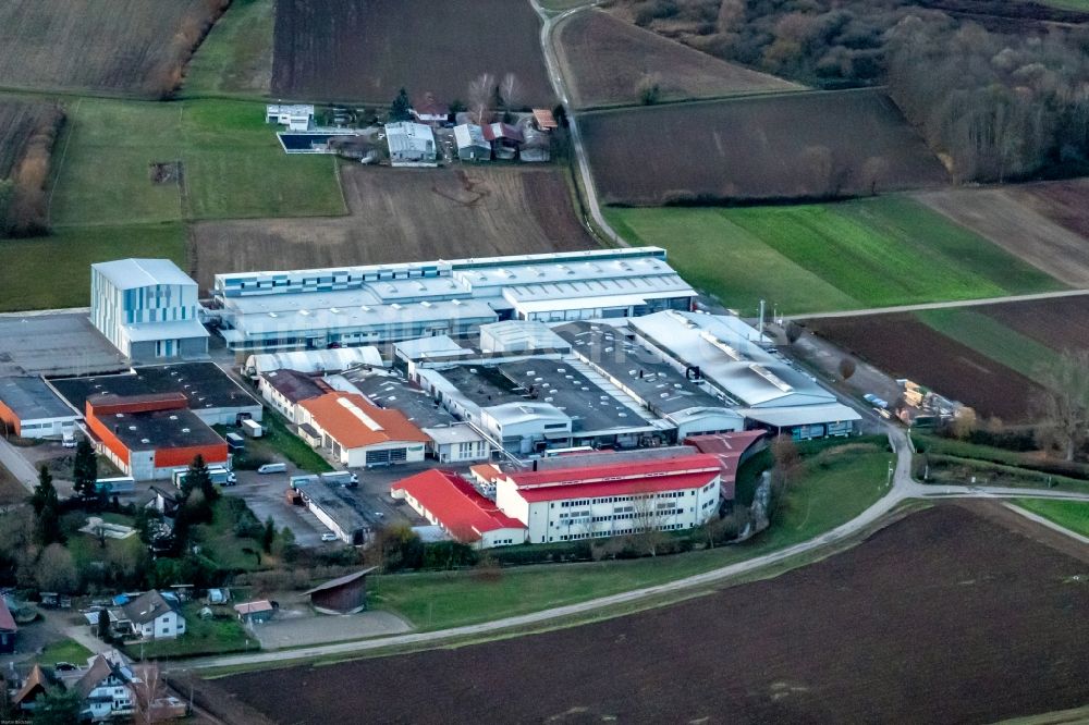 Friesenheim von oben - Industrie- und Gewerbegebiet in Friesenheim im Bundesland Baden-Württemberg, Deutschland