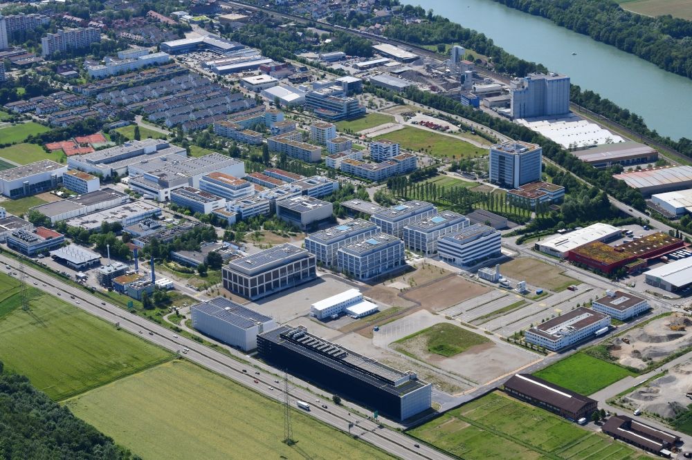 Kaiseraugst von oben - Industrie- und Gewerbegebiet der Weltfirmen DSM und Roche in Kaiseraugst im Kanton Aargau, Schweiz
