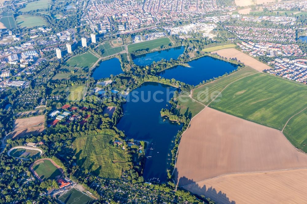 Luftbild Ludwigshafen am Rhein - Innenstadtbereich an den Uferbereichen des Freibad am Willersinnweiher im Ortsteil Friesenheim in Ludwigshafen am Rhein im Bundesland Rheinland-Pfalz, Deutschland