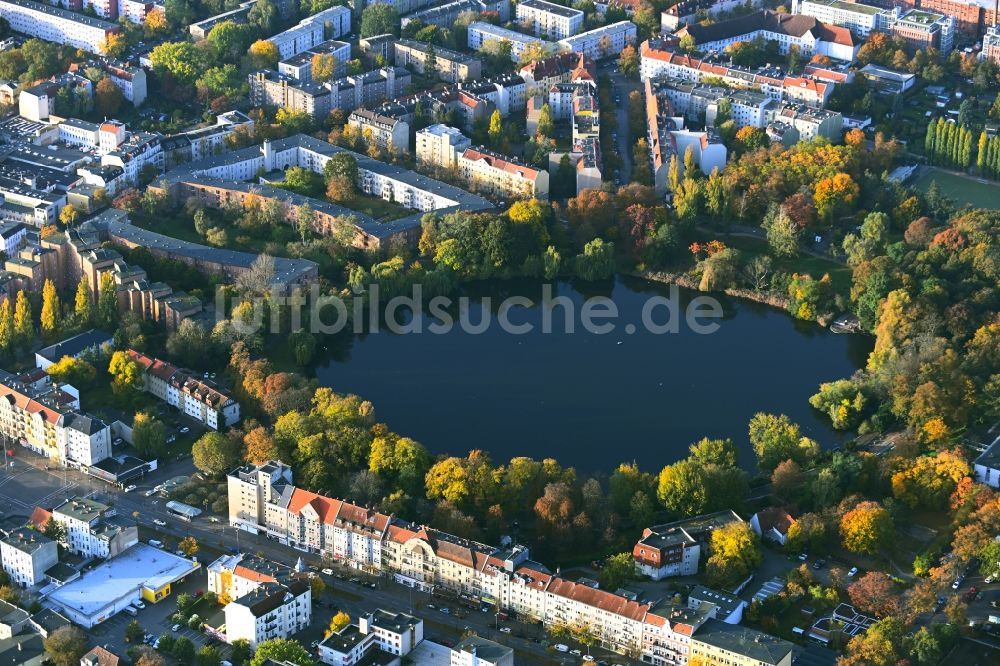 Luftaufnahme Berlin - Innenstadtbereich an den Uferbereichen Schäfersee in Berlin, Deutschland