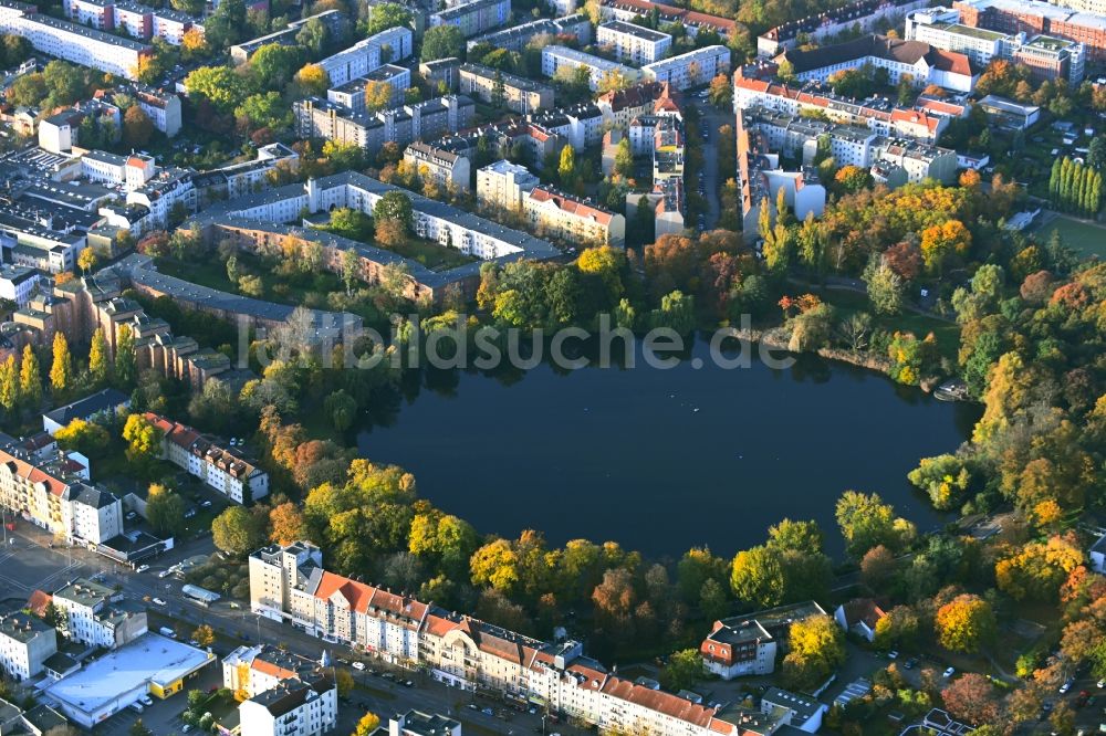 Berlin von oben - Innenstadtbereich an den Uferbereichen Schäfersee in Berlin, Deutschland